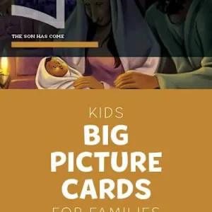 New Arrival The Gospel Project for Kids: Kids Big Picture Cards - Volume 7: The Son Has Come