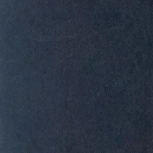 Baptist Church Manual Grab Now