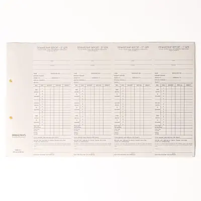 Individual Stewardship Record and Report with IRS Statement Must Have