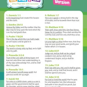 Bible Skills Drills and Thrills Green Cycle Verse Cards - KJV Luxury
