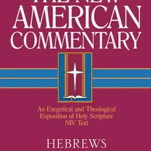 Hebrews, The New American Commentary Flash Sale
