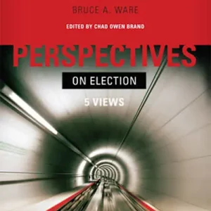 Original eBook - Perspectives on Election