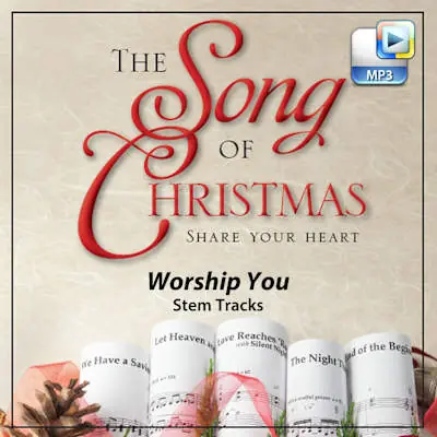 Warranty Included Worship You - Downloadable Stem Tracks