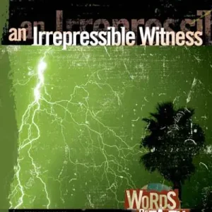 eBook - Acts 15-28: An Irrepressible Witness Best Choice