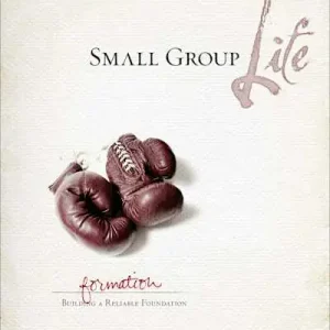 Professional Grade eBook - Small Group Life: Formation