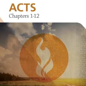 Best Price eBook - Explore the Bible: Acts: Chapters 1-12