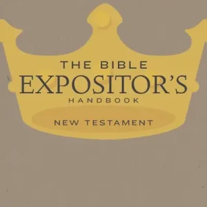 Luxury eBook - The Bible Expositor's Handbook, NT Edition
