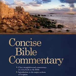 Popular Holman Concise Bible Commentary