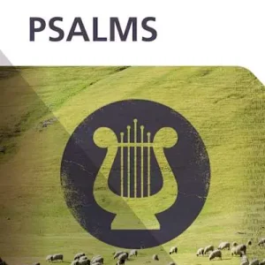 Same Day Shipping eBook - Explore the Bible: Psalms Bible Study Book