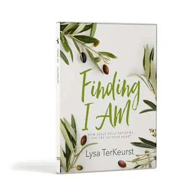 Professional Grade Finding I AM -  DVD Set
