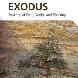 Bulk Order eBook - Explore the Bible: Exodus Bible Study Book