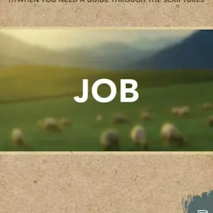 Professional Grade Shepherd's Notes: Job