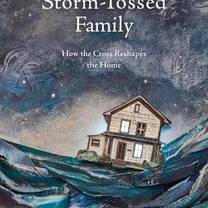 eBook - The Storm-Tossed Family Weekend Sale