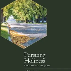 eBook - Pursuing Holiness - Bible Study Book Wholesale