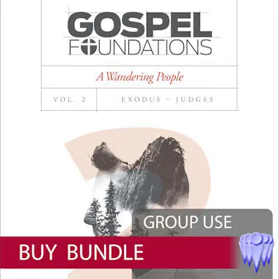 Discount Gospel Foundations - Volume 2 - Group Use Video Bundle - Buy