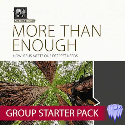 Super Sale Bible Studies for Life: More Than Enough - Group Use Video Bundle