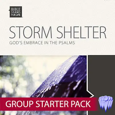 Bible Studies for Life: Storm Shelter Group Use Video Bundle New Arrival
