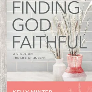Factory Price eBook - Finding God Faithful - Teen Girls' Bible Study Book