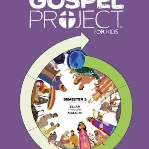 Hot Deal The Gospel Project Home Edition Bible Story DVD Semester 3