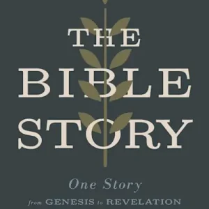 The Bible Story Limited Time
