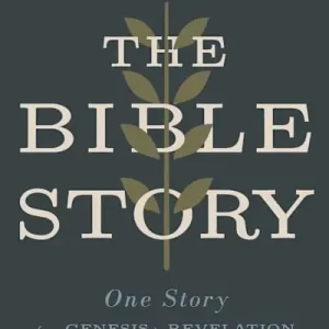 eBook - The Bible Story Top Rated