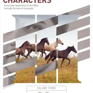 Low Price Characters Volume 3: The Kings - Bible Study Book