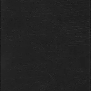 RVR 1960 Biblia de Estudio Arcoíris, negro símil piel con índice Original