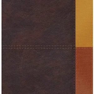 High Quality RVR 1960 Biblia de Estudio Arcoíris, cocoa/ terracota símil piel