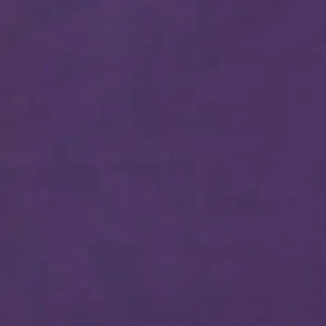 RVR 1960 Biblia de Estudio Arcoíris, morado/multicolor Reduced Price