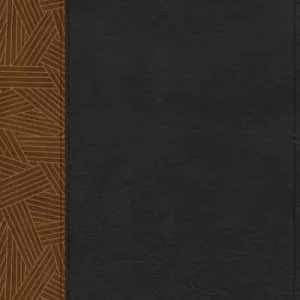 RVR 1960 Biblia de Estudio Arcoíris, tostado/negro símil piel Instant Buy