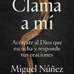 Direct From Manufacturer eBook - Work 5-Miguel Nuñez