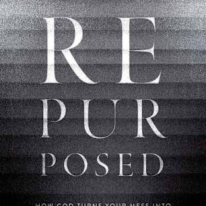 eBook - Repurposed Last Chance