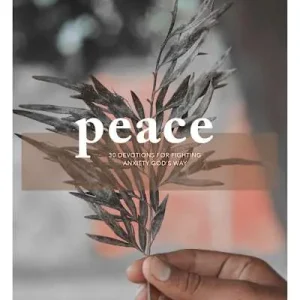 Factory Price eBook - Peace - Teen Devotional