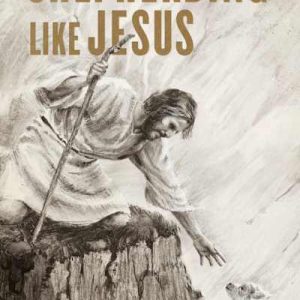 eBook - Shepherding Like Jesus Hassle-Free Returns