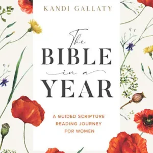 The Bible in a Year - Bible Study Book Same Day Shipping