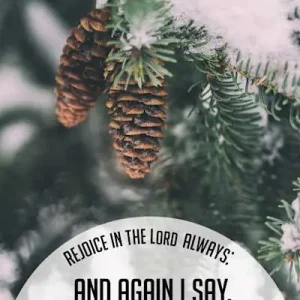 Top Pick General Worship Bulletin: Rejoice (Package of 100)