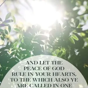 Seasonal Sale General Worship Bulletin: Let the Peace (Package of 100)