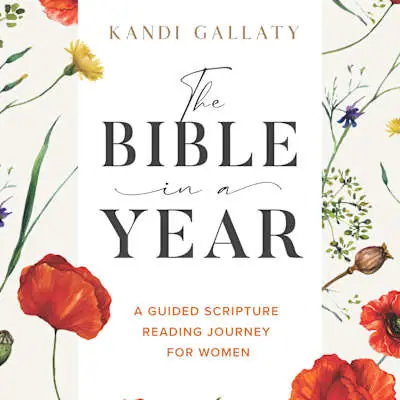 The Bible in a Year - Video Streaming - Individual Free Delivery