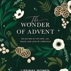 eBook - The Wonder of Advent - Bible Study Book with Video Access Price Drop
