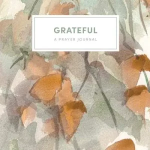 Buy Direct Grateful - A Prayer Journal
