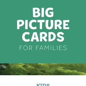 The Gospel Project for Kids: Kids Big Picture Cards - Volume 10: From Many People to One People Holiday Sale
