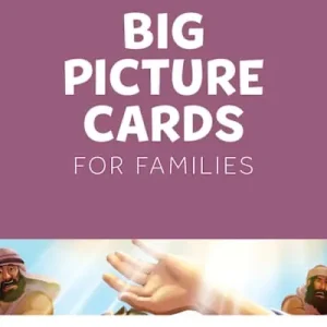 Bargain The Gospel Project for Preschool: Preschool Big Picture Cards - Volume 11: From One Nation to All Nations