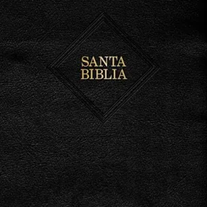 Factory Price RVR 1960 Biblia letra grande tamaño manual, negro piel fabricada con índice (Edición 2023)
