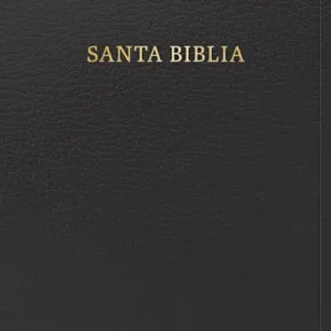 RVR 1960 Biblia letra grande tamaño manual, negro imitación piel con índice (Edición 2023) Buy Today
