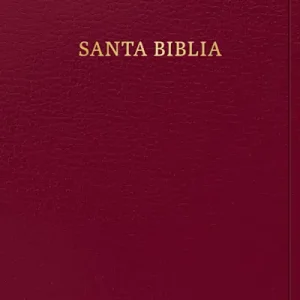 RVR 1960 Biblia letra grande tamaño manual, borgoña imitación piel con índice (Edición 2023) Top Rated