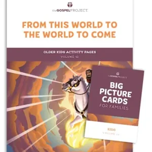 Clearance The Gospel Project for Kids: Older Kids Activity Pack - Volume 12: From This World to the World to Come
