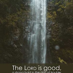 Trending General Worship Bulletin: Lord is Good (Package of 100)