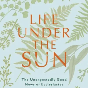 Save Now eBook - Life Under the Sun - Bible Study Book