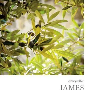 Certified eBook - James - Storyteller - Bible Study Book