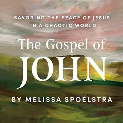 The Gospel of John - Video Streaming - Group Price Cut